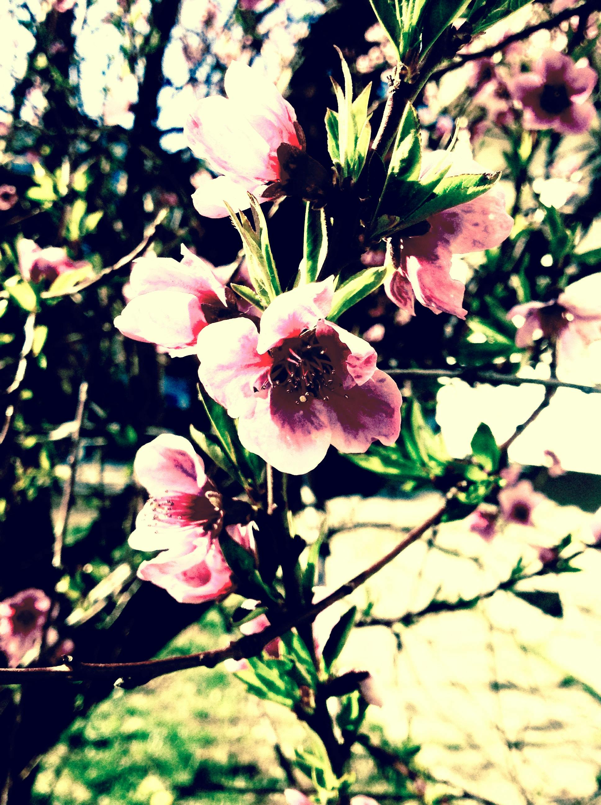 Expert seed lawn installation